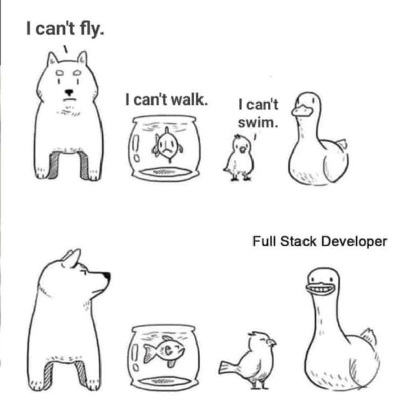 Developer Experience